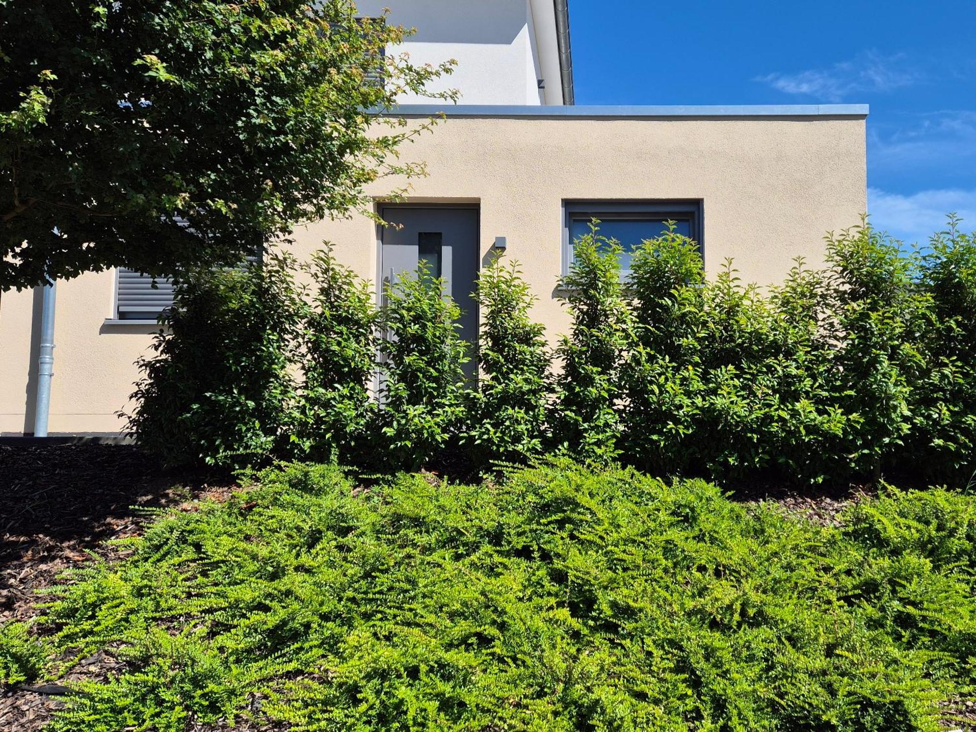 Wine & Hike Apartment Wincheringen Bagian luar foto